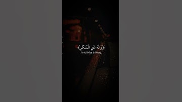 تلاوة هادئه ومريحة جدا ❤️#راحة_نفسية #يالله #قران_كريم #قرآن #اكسبلور #quran #تلاوات_خاشعة #ترند