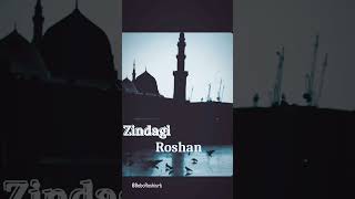 Muhammad Sallallahu Alaihi Wasallam #bebo #poetry #urdupoetry #srb #vairal #BeboRoshi #🤍🧡💚