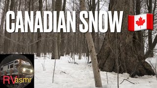 ASMR - Walking in The Snow in Canada | Relaxation | Crunchy Snow