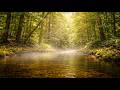 Peaceful River Melody & Relaxing Music for Deep Focus, Calmness & Inner Peace 🌊🎶🍃