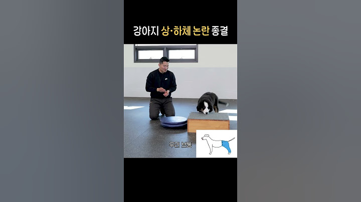반박 시 강형욱이 이러고 있다가 님 헤드락 걸걸요?