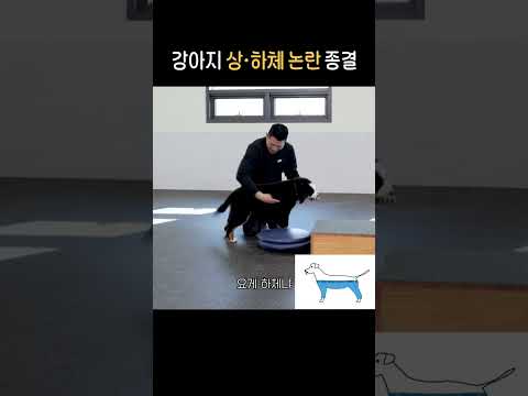 반박 시 강형욱이 이러고 있다가 님 <strong>헤드락</strong> 걸걸요?