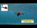 Strike Pro Miuras Mouse video