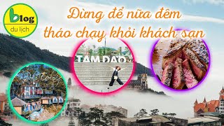 Du lịch Tam Đảo tự túc 2023 - Chi tiết kinh nghiệm vui chơi ăn uống cho người đi lần đầu