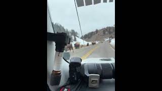Majestic Herd Recorded During Bison Crossing
