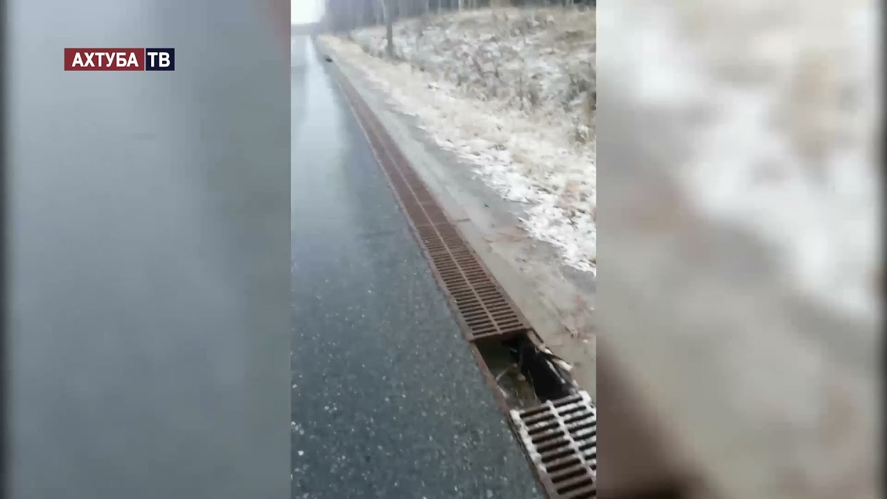 Мигрант украл решетки для ливневой канализации - YouTube