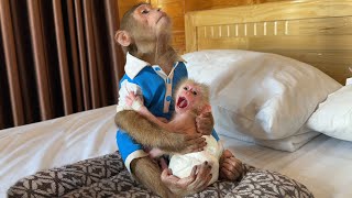 Cutis Worried Tried To Comfort When Poor Mynu Monkey Not Take Medicine