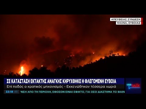 Προσπάθειες περιορισμού της φωτιάς έξω από τα Ψαχνά