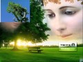 العليقه التى رأها موسى النبى فى البريه Wmv العليقه التى رأها موسى النبى فى البريه Wmv
