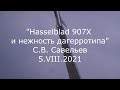 С.В. Савельев - Hasselblad 907X и нежность дагерротипа