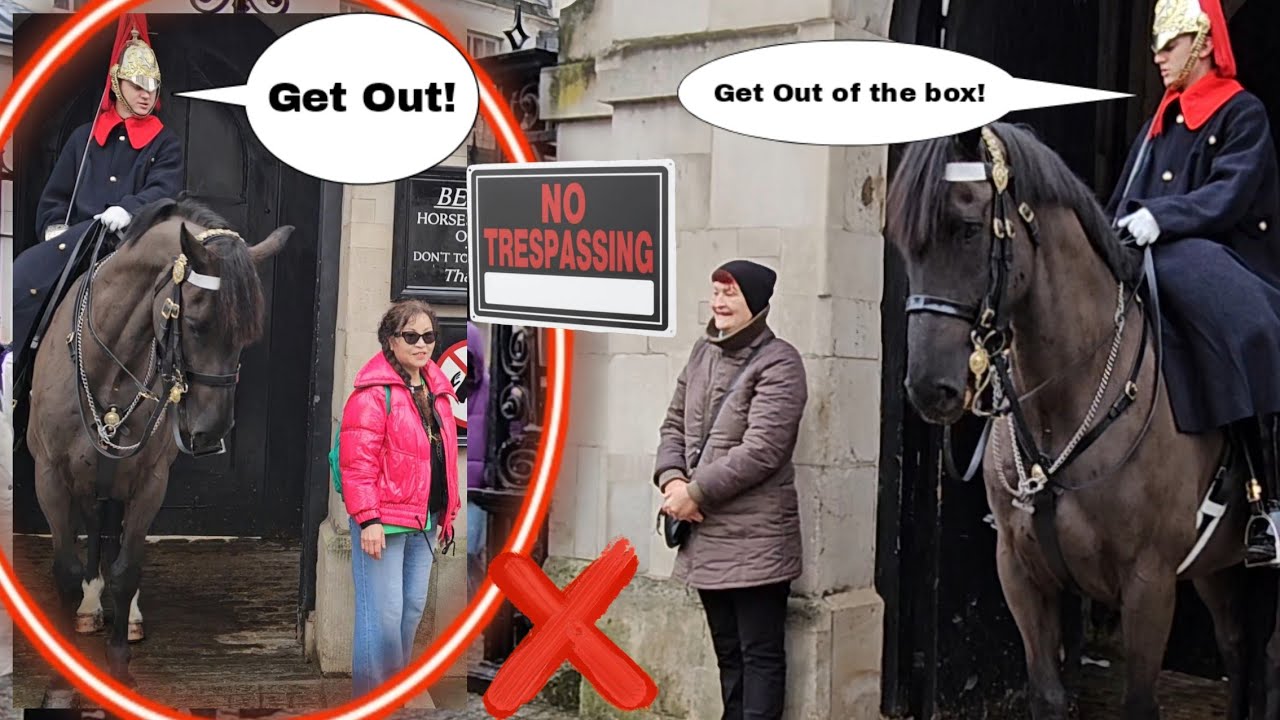 Two tourists crossed the limit then got told off by The King's Guard to 