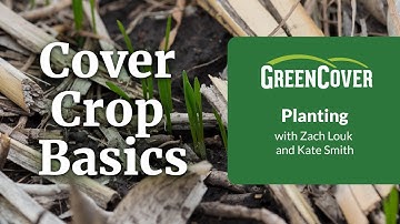 Cover Crop Basics Part Three: Planting