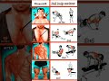 Full Body Fatloss Exercises workout belly fat workout #shorts #weightloss #fitness #exercise