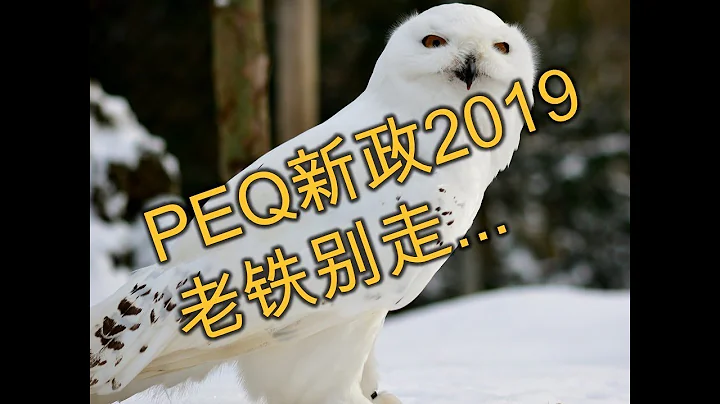 【PEQ 2019新政】先别急着离开魁省，你可以做这样一件事...