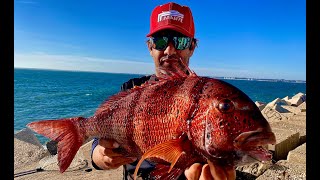 GRAN URTA XXL RAUL MARIO PESCA DORADA SURFCASTING CADIZ