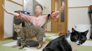 やっとパパが帰ってきた！！