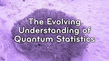 The Evolving Understanding of Quantum Statistics | Daniela Monaldi | Historian of science