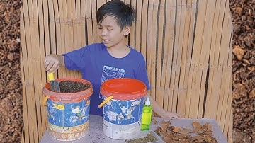 BASKET COMPOSTING - Performance Task in EPP 5