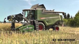 Fendt 5255L beim Raps dreschen![HD]