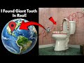 I Found Giant tooth In Real On Google Earth Official Maps 🌎#googleearth #googlemaps #viralvideo 