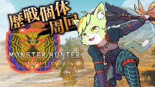 【上位#4】ソロで歴戦王レ・ダウSランク討伐に挑戦！ ※ネタバレ注意