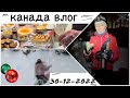 КАНАДА ВЛОГ 30-12-2022: снежная буря, бобер и лыжи в ночи!