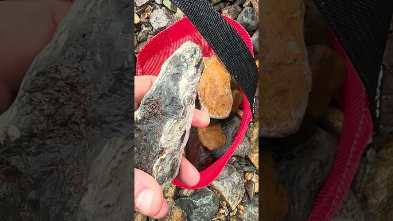 ⁣Exploring a secret beach with some amazing finds! #alaskalife #liveaboard #sailboat
