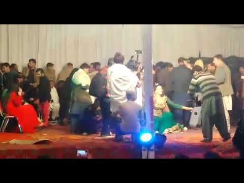 Dolphin Rani Function In Nordii..