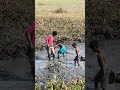শৈশবের স্মৃতি