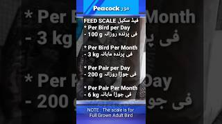 Peacock Feed Scale #birdsfeed #birdkeeping