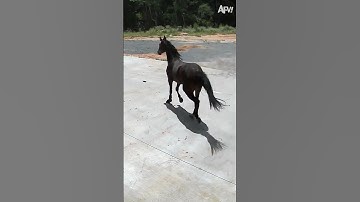 Think there was a glitch in the Matrix... 🤣 #afv #fail #funny