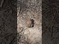 Кому интересна такая еда можете писать Кому интересна такая еда можете писать