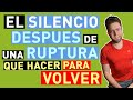 EL SILENCIO DESPUÉS de una RUPTURA (QUE HACER para VOLVER con ÉL o ELLA)