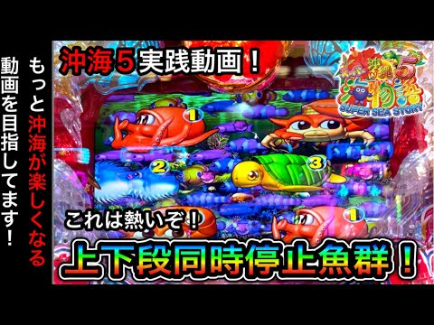 397日目】Pスーパー海物語in沖縄5！上下段同時停止魚群発生