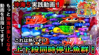 沖縄海軍物語　沖縄海友会員回想録 沖縄海軍物語 沖縄海友会員回想録