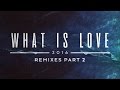 Miniature de la vidéo de la chanson What Is Love 2016 (Bryan West Remix)