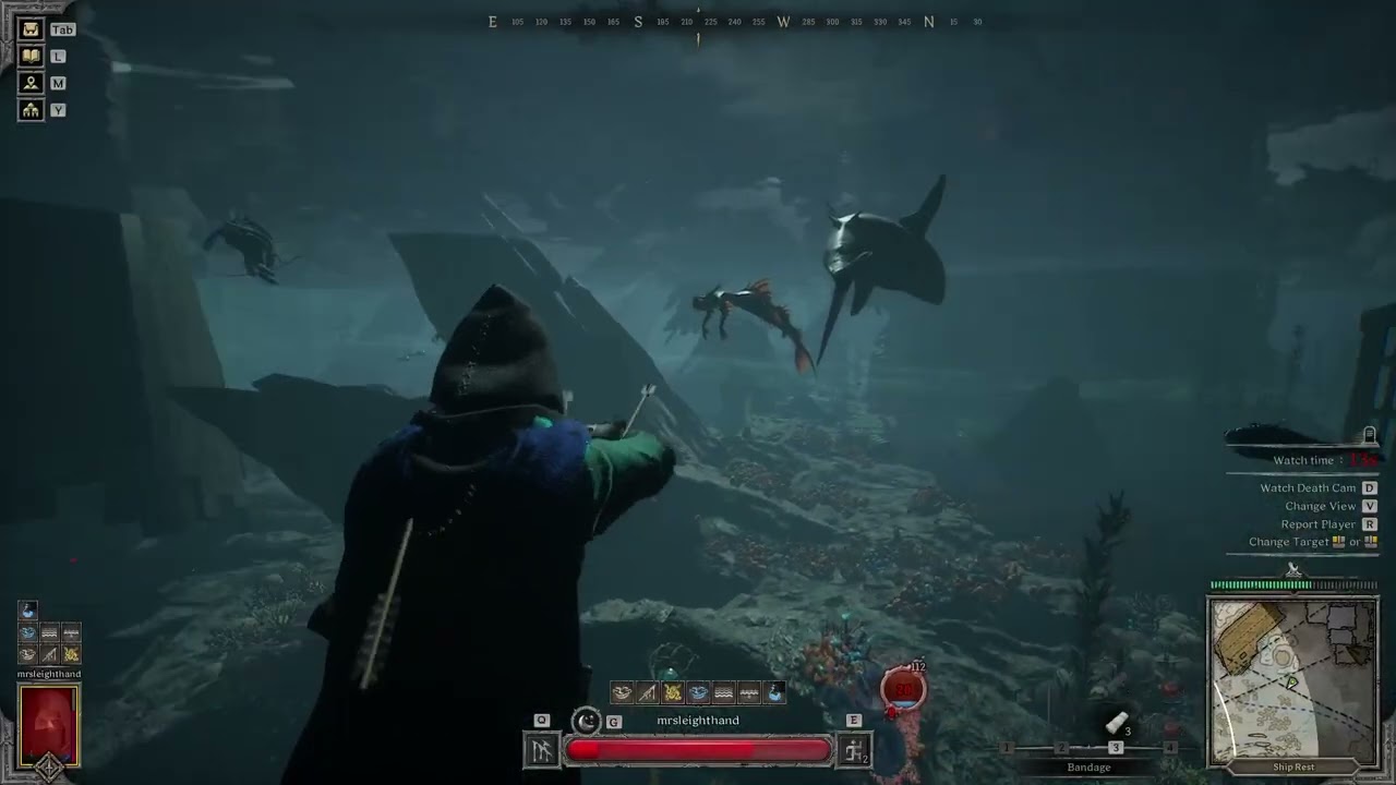 2025 12 17 16 58 42 Blatant teaming in HR Blue Maelstrom. Rogue + Druid