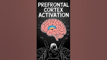 Prefrontal Cortex Activation