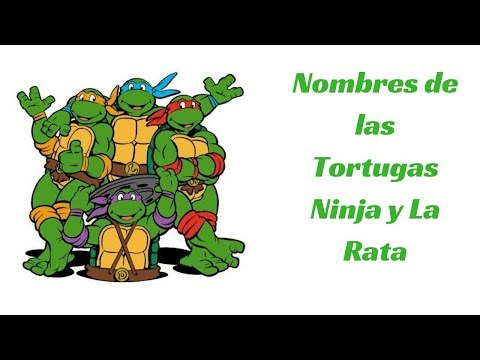 Video: ¿Cómo se llaman las tortugas ninja rojas?