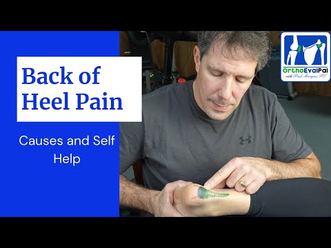 Back of the heel pain (Bone, Tendon & Bursa)