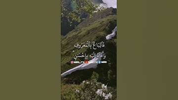 القرآن الكريم سورة البقرة الاية 178 الى 179