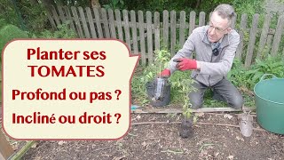 La bonne profondeur pour planter ses tomates