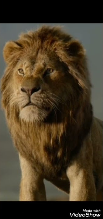 The Lion King/Simba/WhatsApp Status/ #shorts #TheLionKing #Simba