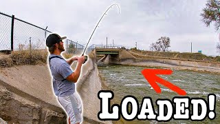 Spillway Fishing Rapid Current Filled W/ Aggressive Fish!!! (One After Another!!)