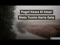 Pagol Hawa Ki Amar Moto Tumio Harie Gele