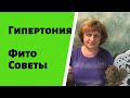 Гипертония  Фиторецепты