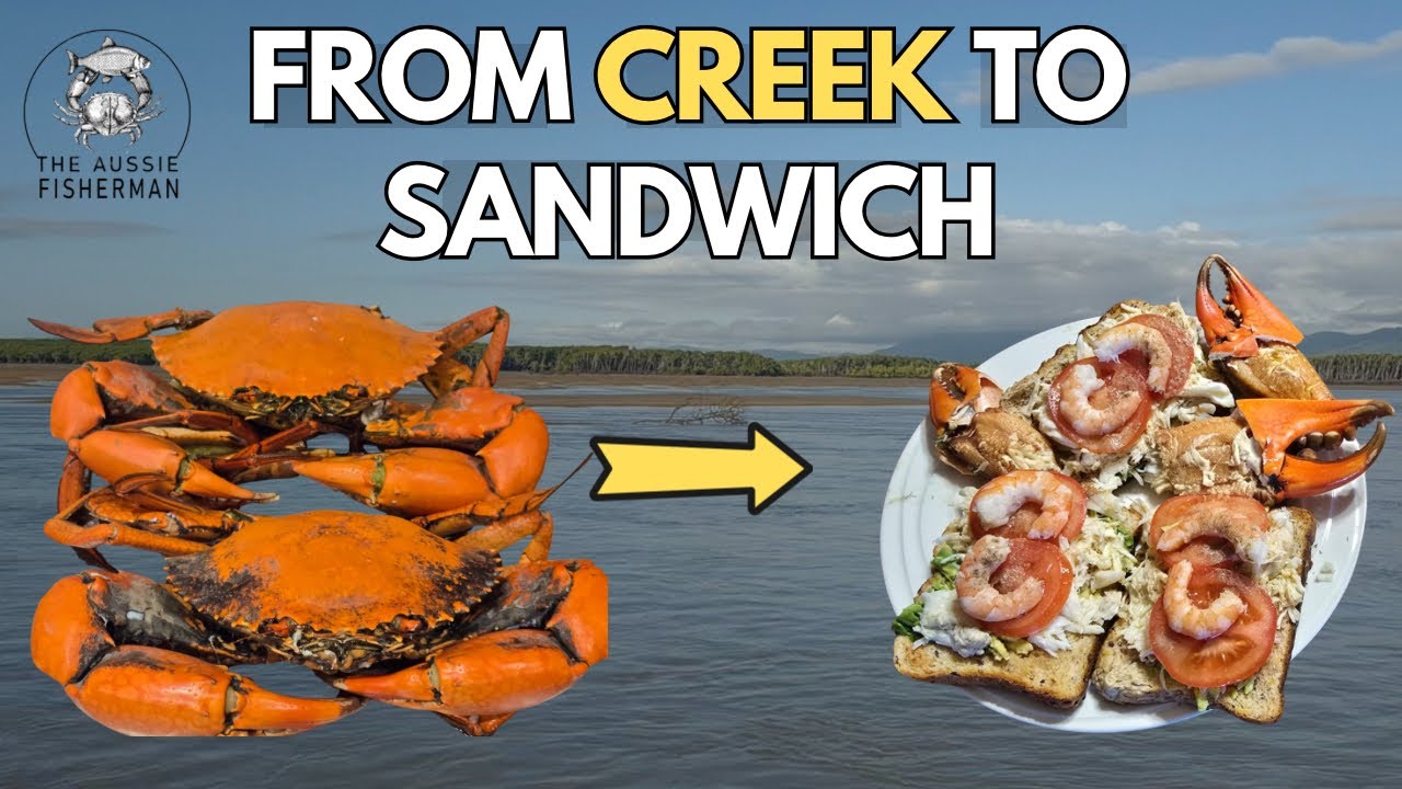 Llael McDonald - Mud crabs and Mussels I main image 0
