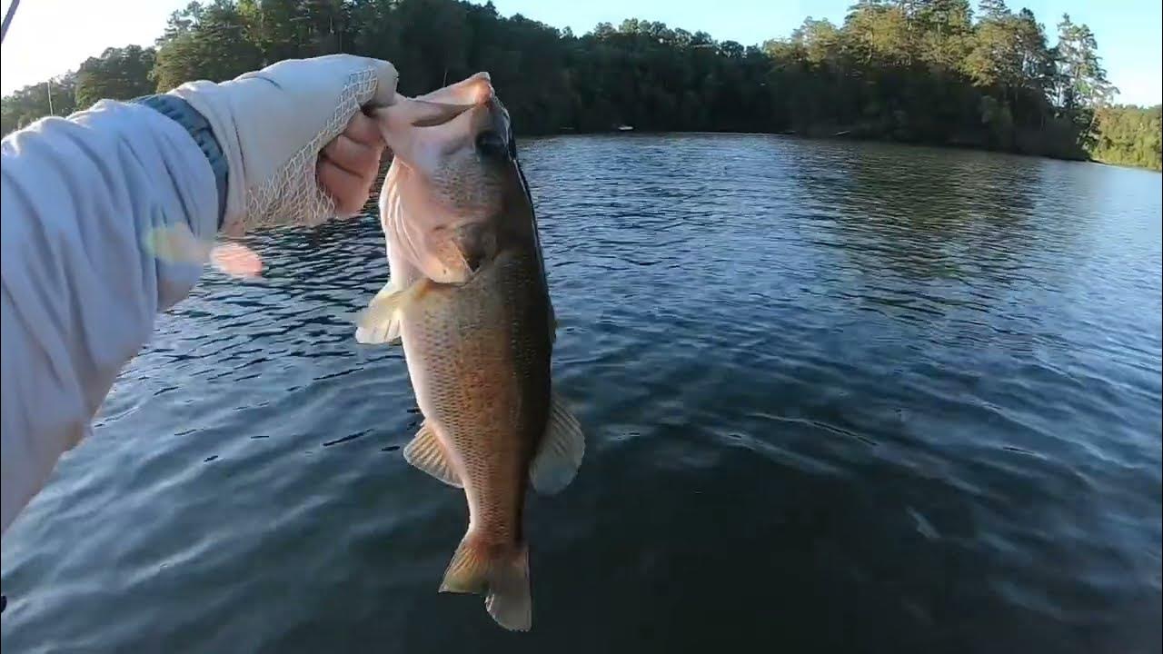 Two Day Fishing Trip Lake Adger NC part 1 YouTube
