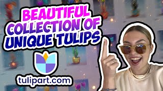 Tulipart Review - Your One Stop Shop For Digital Art! (FREE LAND)