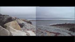 moving camera video mosaic